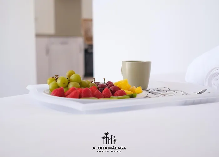 Julieta Historical Apartment By Alohamalaga
